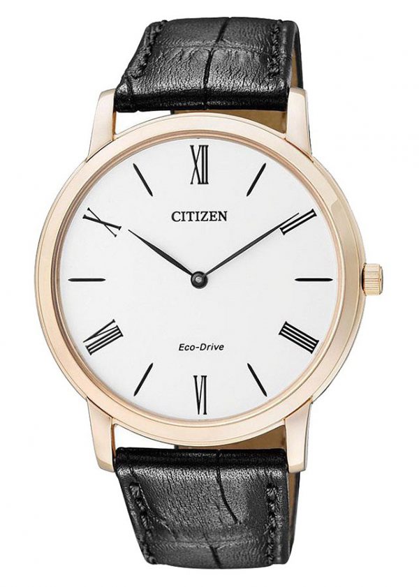 Citizen AR1113-12B